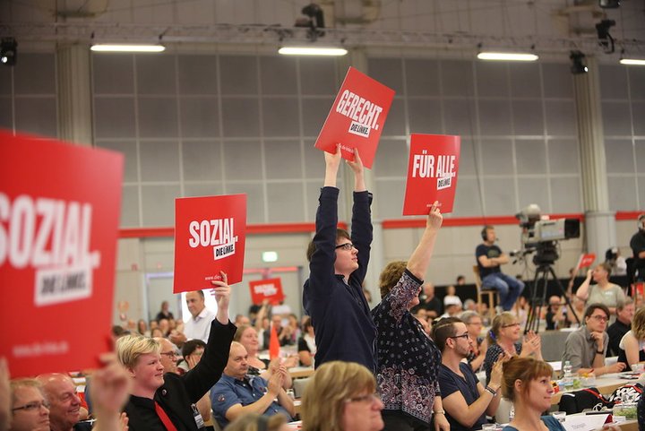 Parteidemokratie: DIE LINKE.