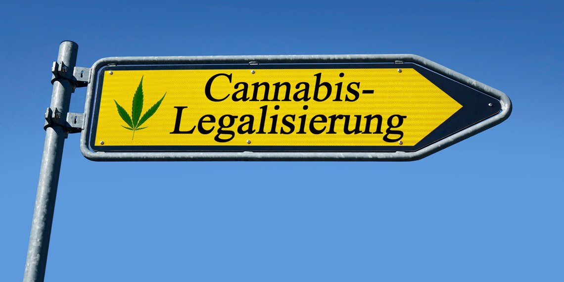 Wegweiser mit Cannabis-Legalisierung Wegweiser mit Cannabis-Legalisierung, 09.11.2022, Borkwalde, Brandenburg, In einem Wegweiser mit Cannabis Legalisierung