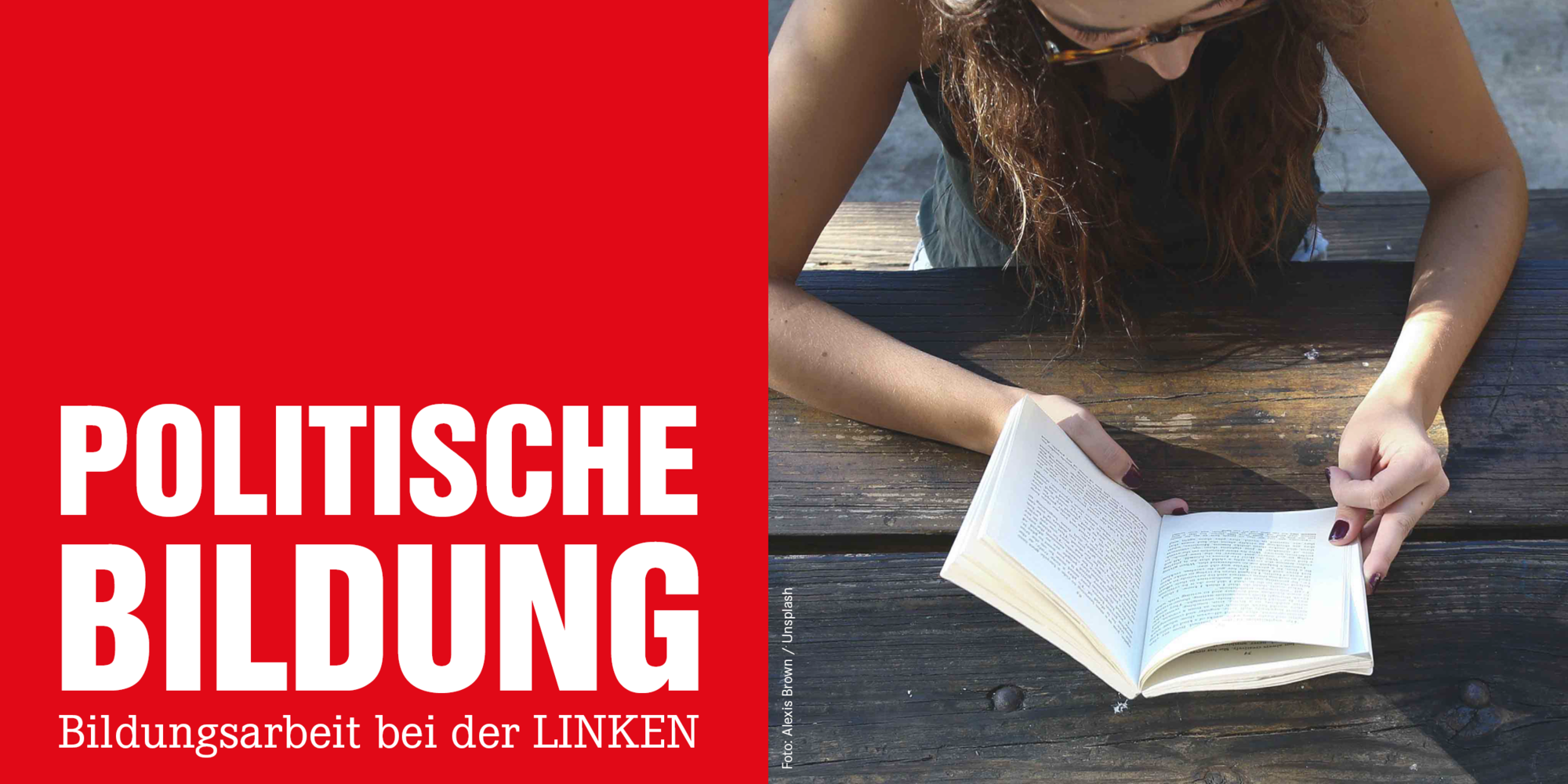 Politische Bildung: DIE LINKE.