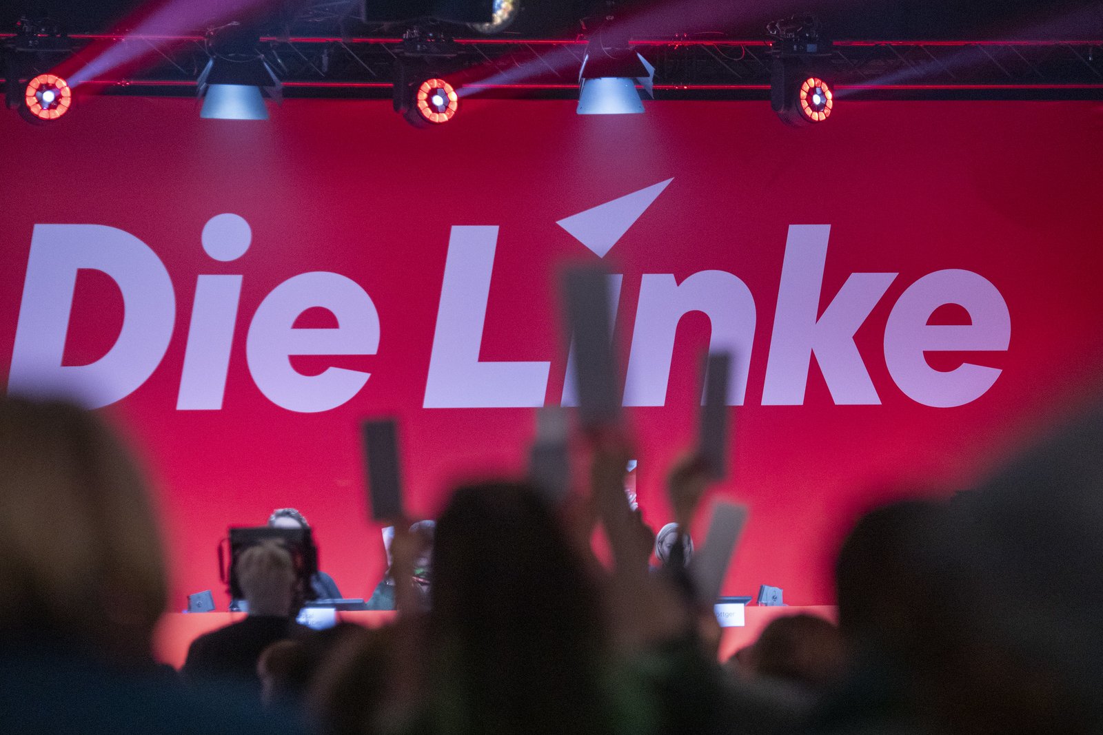 Im Hintergrund ist das Logo der Partei Die Linke zu sehen. Davor sind hochgehaltene Stimmkarten abgebildet.
