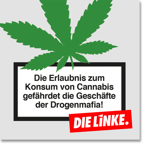 Cannbis_Geschäfte.png