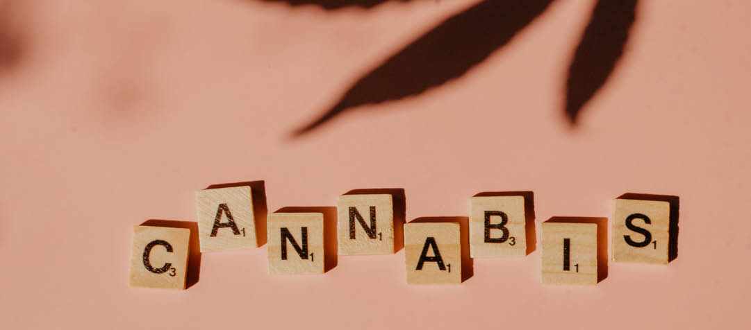 Cannabis