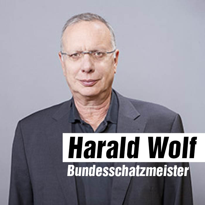 Harald Wolf: Bundesschatzmeister von DIE LINKE